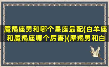 魔羯座男和哪个星座最配(白羊座和魔羯座哪个厉害)(摩羯男和白羊男谁更厉害)