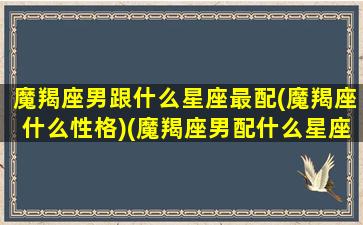 魔羯座男跟什么星座最配(魔羯座什么性格)(魔羯座男配什么星座女)