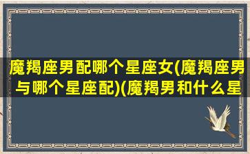 魔羯座男配哪个星座女(魔羯座男与哪个星座配)(魔羯男和什么星座配)