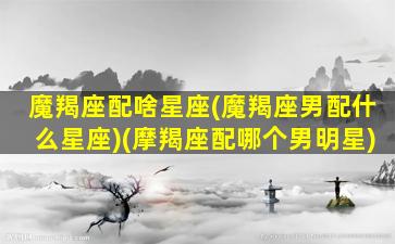 魔羯座配啥星座(魔羯座男配什么星座)(摩羯座配哪个男明星)