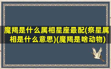 魔羯是什么属相星座最配(祭星属相是什么意思)(魔羯是啥动物)