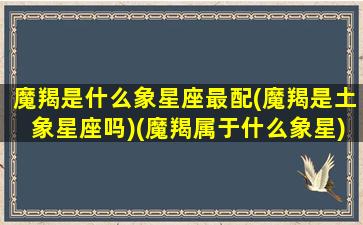 魔羯是什么象星座最配(魔羯是土象星座吗)(魔羯属于什么象星)