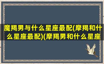 魔羯男与什么星座最配(摩羯和什么星座最配)(摩羯男和什么星座匹配)