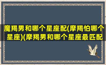 魔羯男和哪个星座配(摩羯怕哪个星座)(摩羯男和哪个星座最匹配)