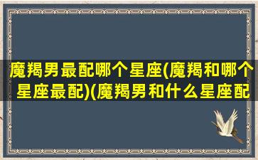 魔羯男最配哪个星座(魔羯和哪个星座最配)(魔羯男和什么星座配)