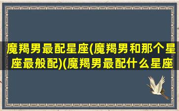 魔羯男最配星座(魔羯男和那个星座最般配)(魔羯男最配什么星座)