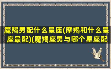 魔羯男配什么星座(摩羯和什么星座最配)(魔羯座男与哪个星座配)