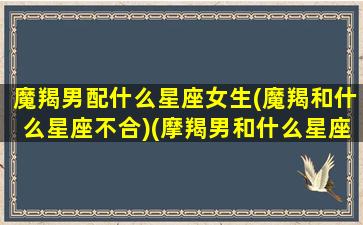 魔羯男配什么星座女生(魔羯和什么星座不合)(摩羯男和什么星座最配对指数)