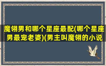 魔翎男和哪个星座最配(哪个星座男最宠老婆)(男主叫魔翎的小说)