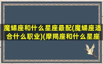 魔蜴座和什么星座最配(魔蜴座适合什么职业)(摩羯座和什么星座最配)