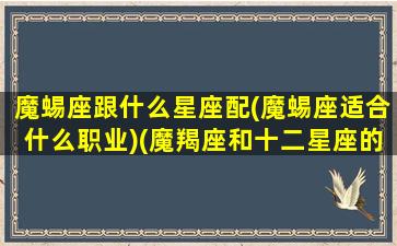 魔蜴座跟什么星座配(魔蜴座适合什么职业)(魔羯座和十二星座的配对程度)