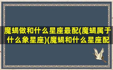 魔蝎做和什么星座最配(魔蝎属于什么象星座)(魔蝎和什么星座配对)