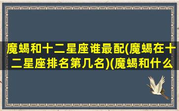 魔蝎和十二星座谁最配(魔蝎在十二星座排名第几名)(魔蝎和什么座最般配)