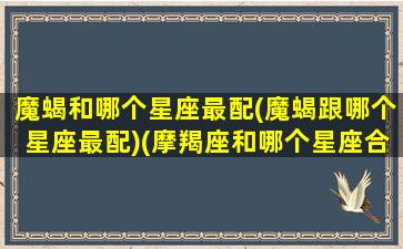 魔蝎和哪个星座最配(魔蝎跟哪个星座最配)(摩羯座和哪个星座合得来)