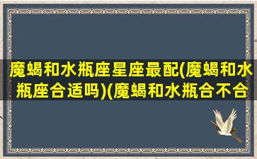 魔蝎和水瓶座星座最配(魔蝎和水瓶座合适吗)(魔蝎和水瓶合不合)