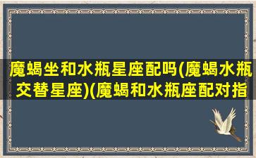 魔蝎坐和水瓶星座配吗(魔蝎水瓶交替星座)(魔蝎和水瓶座配对指数)