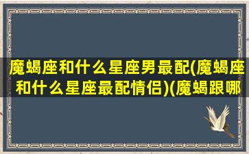 魔蝎座和什么星座男最配(魔蝎座和什么星座最配情侣)(魔蝎跟哪个星座最配)