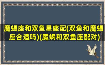 魔蝎座和双鱼星座配(双鱼和魔蝎座合适吗)(魔蝎和双鱼座配对)