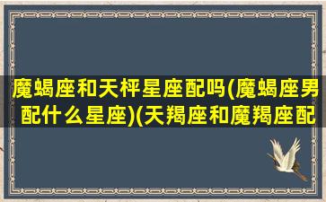 魔蝎座和天枰星座配吗(魔蝎座男配什么星座)(天羯座和魔羯座配吗)