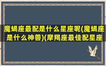 魔蝎座最配是什么星座呢(魔蝎座是什么神兽)(摩羯座最佳配星座)