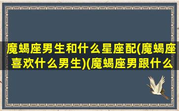 魔蝎座男生和什么星座配(魔蝎座喜欢什么男生)(魔蝎座男跟什么星座合适)