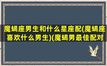 魔蝎座男生和什么星座配(魔蝎座喜欢什么男生)(魔蝎男最佳配对星座)