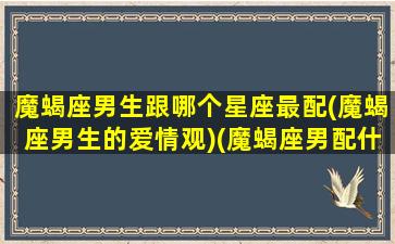 魔蝎座男生跟哪个星座最配(魔蝎座男生的爱情观)(魔蝎座男配什么星座女生)