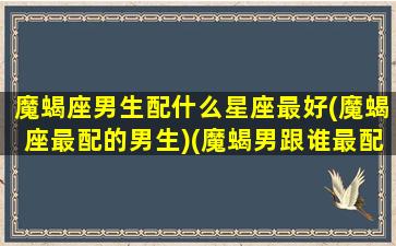 魔蝎座男生配什么星座最好(魔蝎座最配的男生)(魔蝎男跟谁最配)