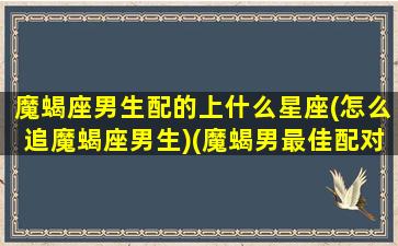 魔蝎座男生配的上什么星座(怎么追魔蝎座男生)(魔蝎男最佳配对星座)