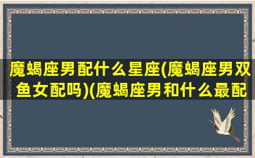 魔蝎座男配什么星座(魔蝎座男双鱼女配吗)(魔蝎座男和什么最配)