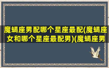 魔蝎座男配哪个星座最配(魔蝎座女和哪个星座最配男)(魔蝎座男和什么星座最配)