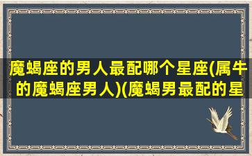 魔蝎座的男人最配哪个星座(属牛的魔蝎座男人)(魔蝎男最配的星座是什么)