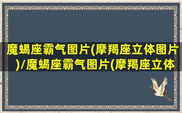 魔蝎座霸气图片(摩羯座立体图片)/魔蝎座霸气图片(摩羯座立体图片)-我的网站