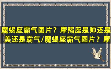 魔蝎座霸气图片？摩羯座是帅还是美还是霸气/魔蝎座霸气图片？摩羯座是帅还是美还是霸气-我的网站