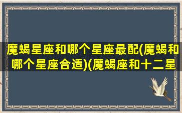 魔蝎星座和哪个星座最配(魔蝎和哪个星座合适)(魔蝎座和十二星座配对指数)