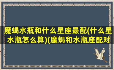 魔蝎水瓶和什么星座最配(什么星水瓶怎么算)(魔蝎和水瓶座配对指数)