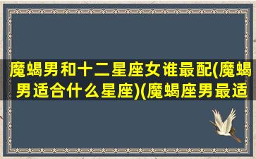 魔蝎男和十二星座女谁最配(魔蝎男适合什么星座)(魔蝎座男最适合和什么星座在一起)