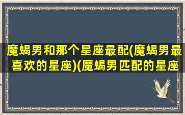 魔蝎男和那个星座最配(魔蝎男最喜欢的星座)(魔蝎男匹配的星座配对)