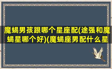 魔蝎男孩跟哪个星座配(途强和魔蝎星哪个好)(魔蝎座男配什么星座女生)