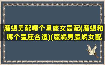 魔蝎男配哪个星座女最配(魔蝎和哪个星座合适)(魔蝎男魔蝎女配吗)