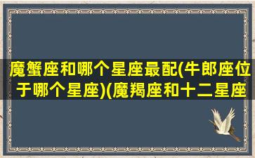 魔蟹座和哪个星座最配(牛郎座位于哪个星座)(魔羯座和十二星座的配对程度)