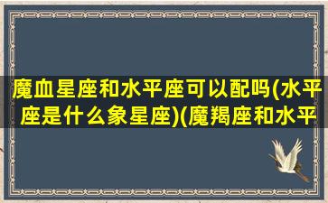 魔血星座和水平座可以配吗(水平座是什么象星座)(魔羯座和水平座配吗)