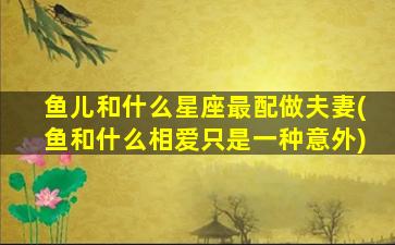 鱼儿和什么星座最配做夫妻(鱼和什么相爱只是一种意外)