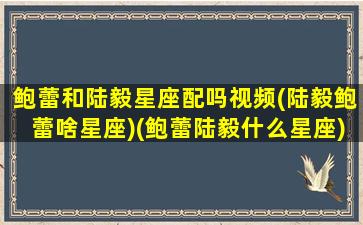 鲍蕾和陆毅星座配吗视频(陆毅鲍蕾啥星座)(鲍蕾陆毅什么星座)