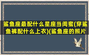 鲨鱼座最配什么星座当闺蜜(穿鲨鱼裤配什么上衣)(鲨鱼座的照片有哪些)