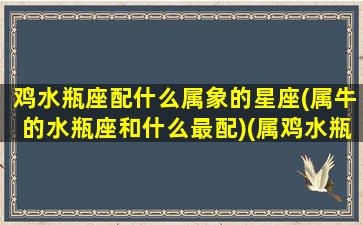 鸡水瓶座配什么属象的星座(属牛的水瓶座和什么最配)(属鸡水瓶座男生性格)