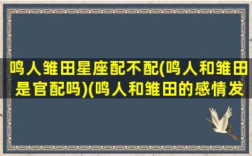 鸣人雏田星座配不配(鸣人和雏田是官配吗)(鸣人和雏田的感情发展)