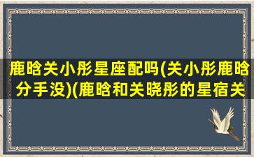 鹿晗关小彤星座配吗(关小彤鹿晗分手没)(鹿晗和关晓彤的星宿关系)