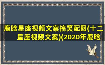 鹿晗星座视频文案搞笑配图(十二星座视频文案)(2020年鹿晗星座)