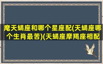 麾天蝎座和哪个星座配(天蝎座哪个生肖最苦)(天蝎座摩羯座相配指数)